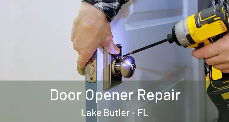 Door Opener Repair Lake Butler - FL