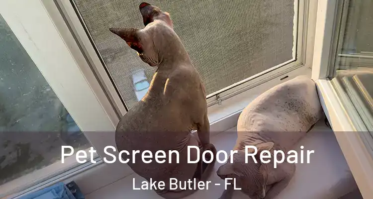 Pet Screen Door Repair Lake Butler - FL