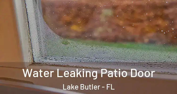 Water Leaking Patio Door Lake Butler - FL